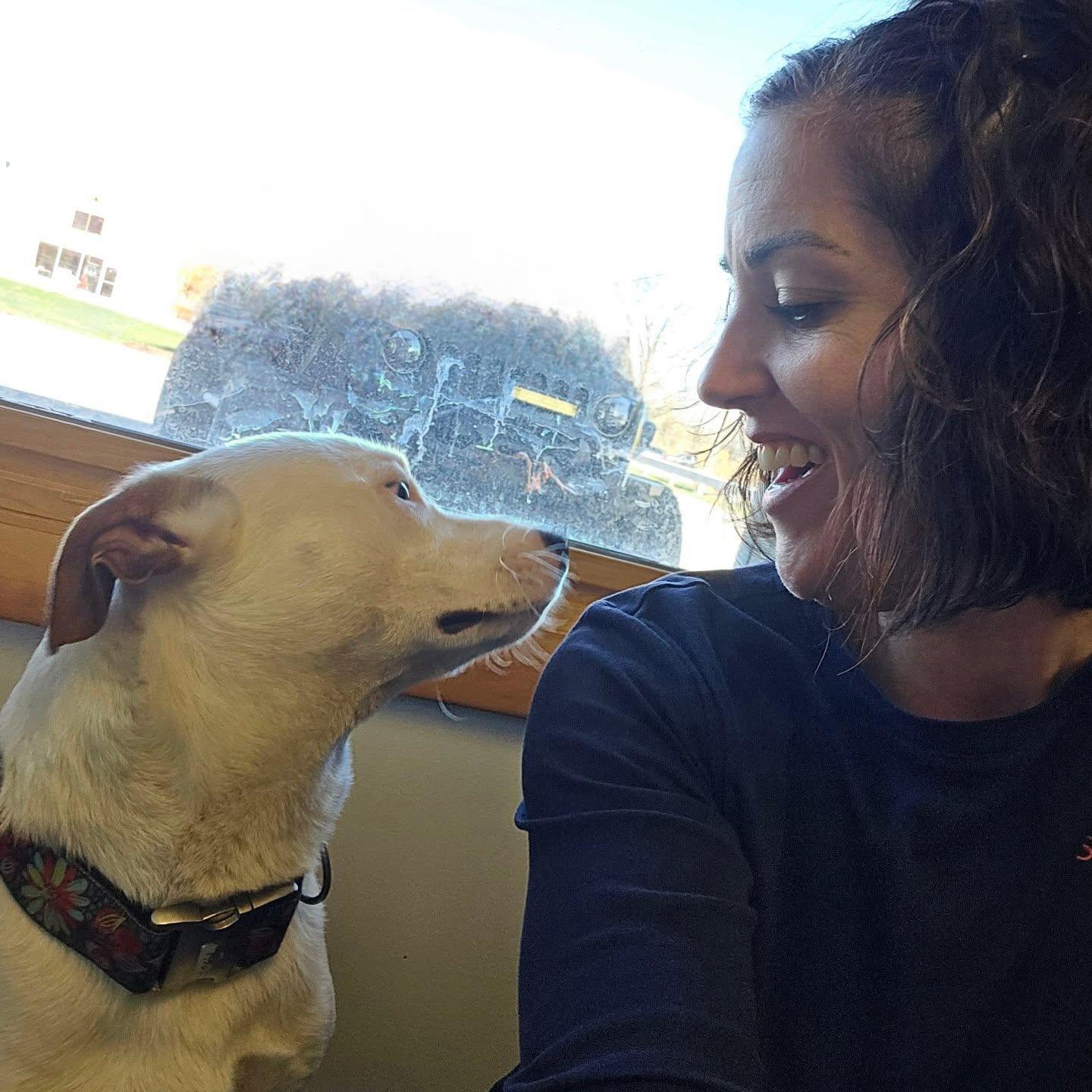 Meet Rico. This handsome 1 year old has been a wonderful companion both in the office and on car rides. He loves everyone he meets and has a sweet, friendly personality to match his good looks. Rico is truly as amazing as he looks and is ready to find his perfect home.