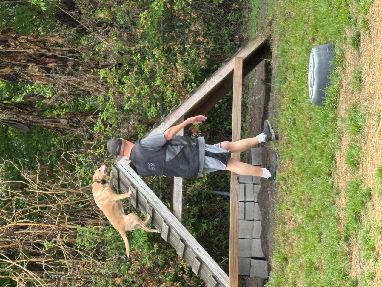 Russell's K9 Academy Image