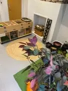 Images Sunshine Day Nursery York Ltd