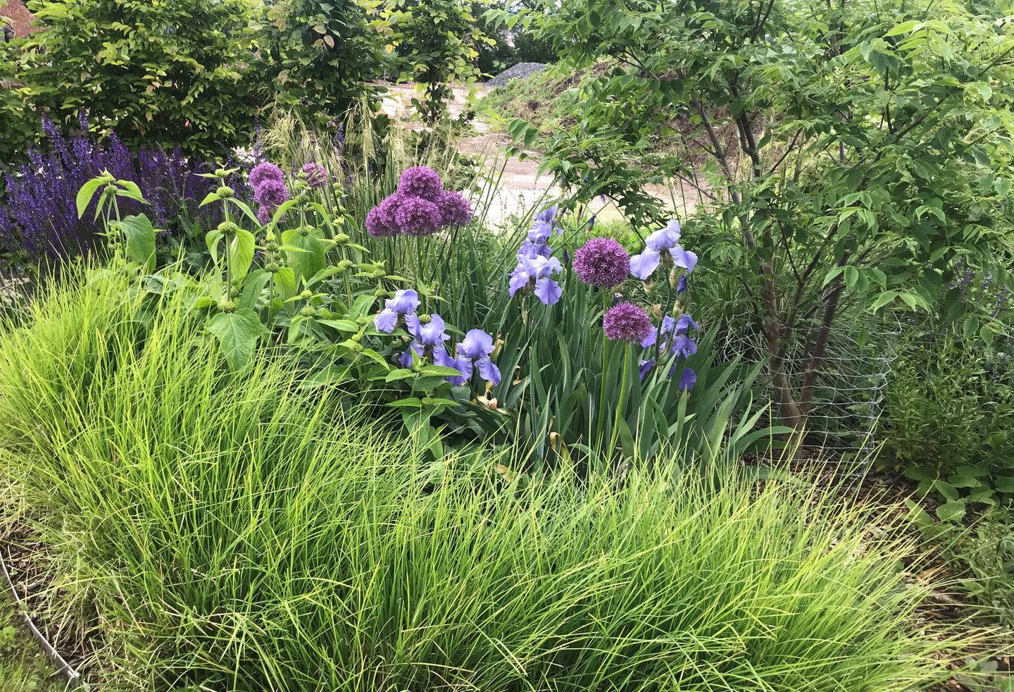 Gartengestaltung Nickerl, Sorge 60 in Werdau