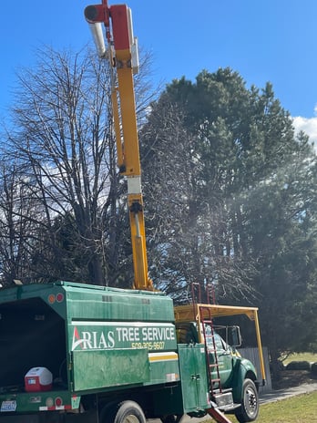 Images Arias Tree Service