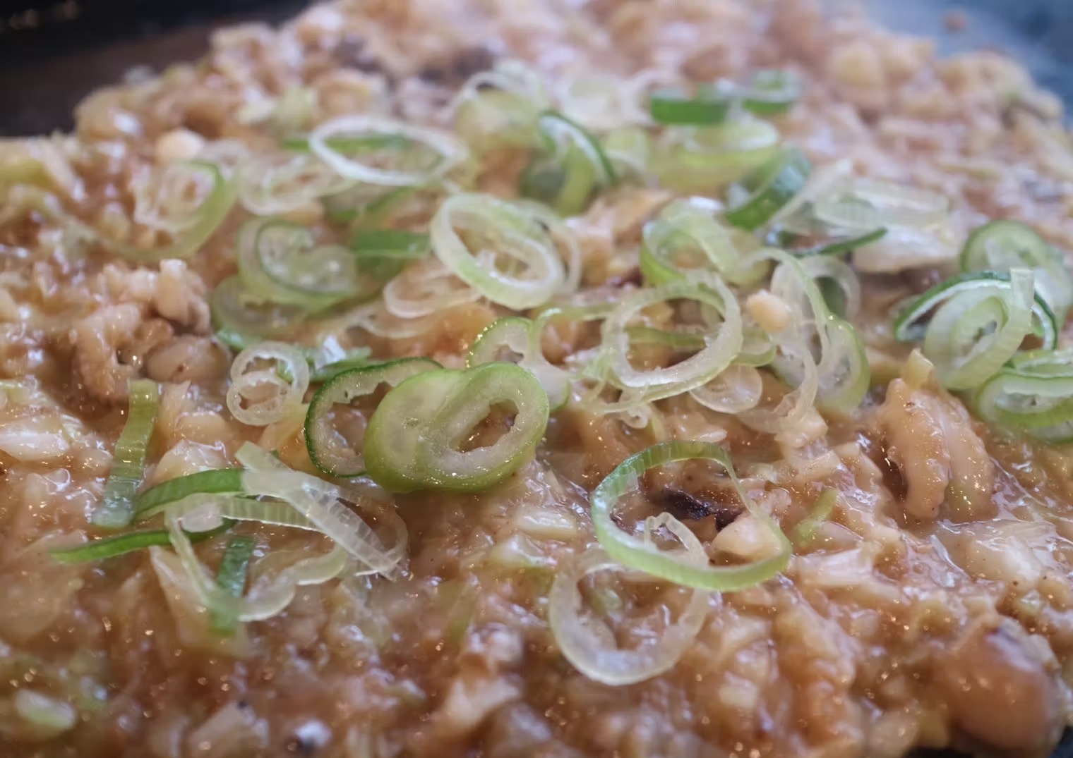 Images MATSUDO MONJA