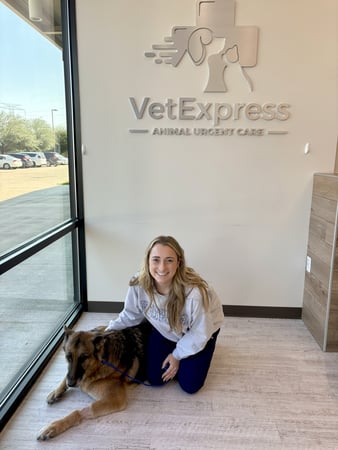 Images VetExpress Animal Urgent Care