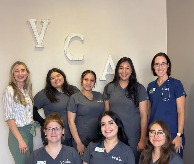 Images VCA Valley Animal Hospital of Sahuarita