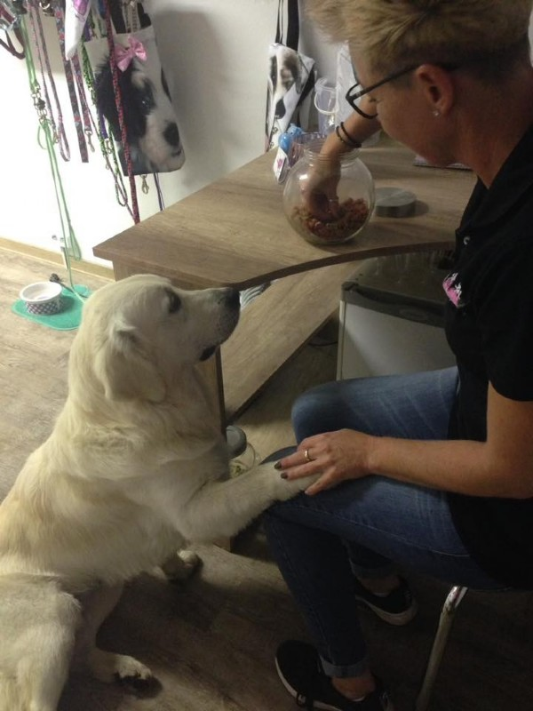 Fellness Studio - Tierfriseur | Tierpflege & Tiernahrung, Dr. Karl- Steiner-Straße 31 in Wattens