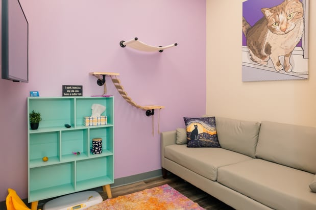 Images PetVet365 Pet Hospital Pittsburgh / South Hills