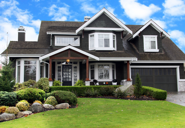 Images Elaine Miller