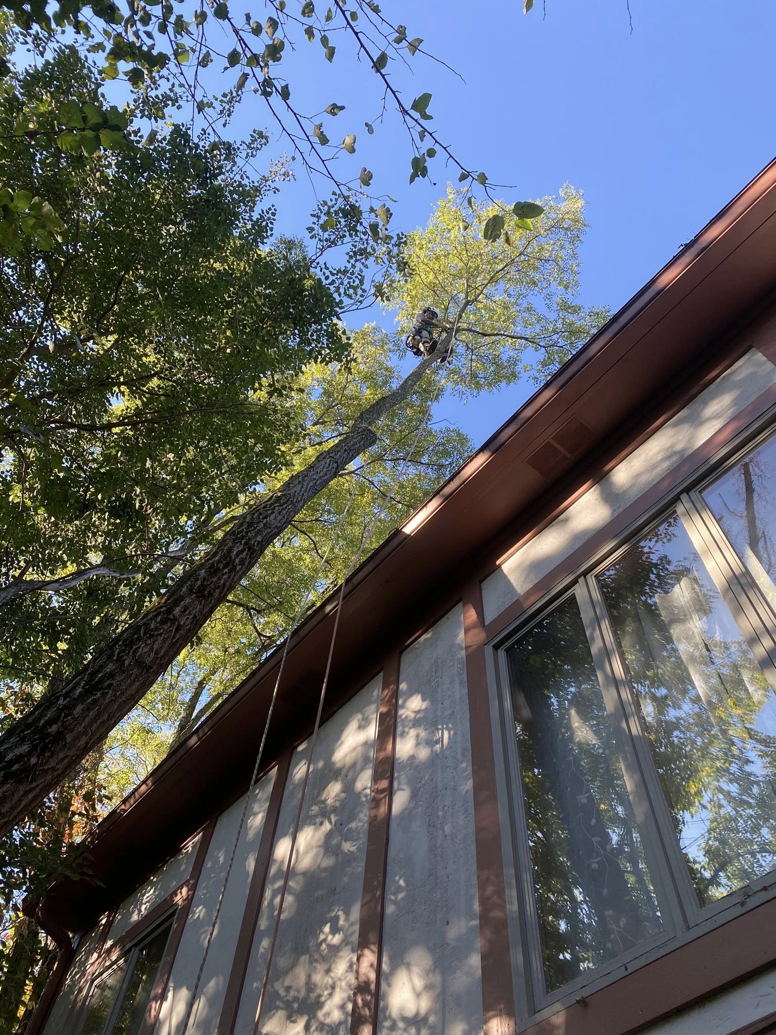 Sharper Image Tree Service LLC Image