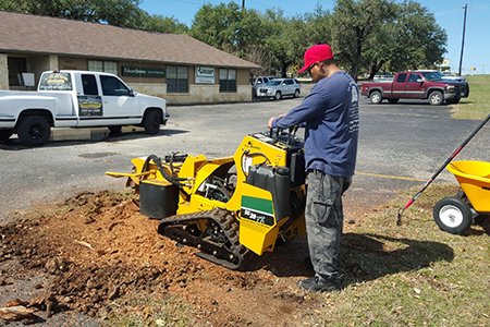 SA Total Tree Service Photo