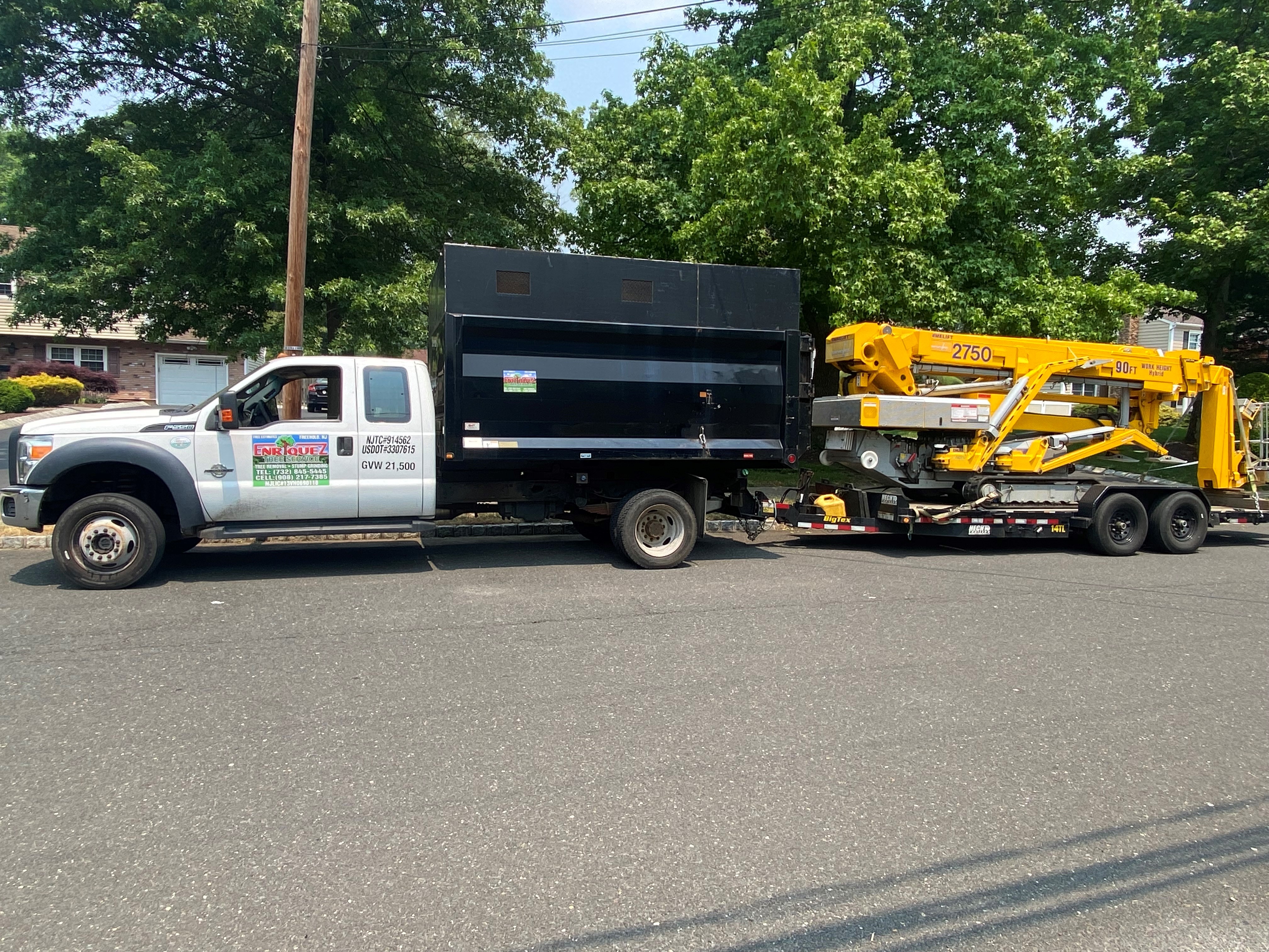 Enriquez Tree Service Freehold (732)845-5445