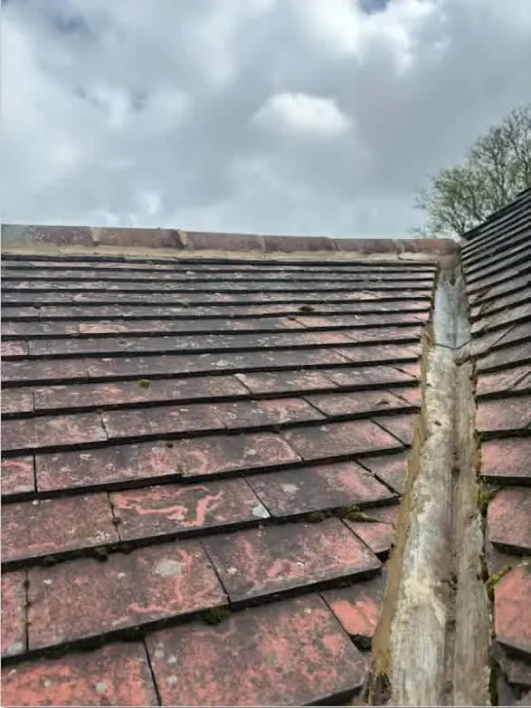Images Dynamic Roofing and Building Ltd