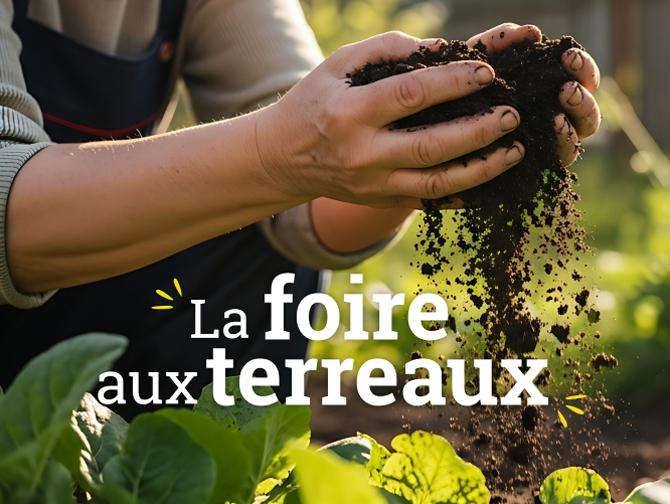 La foire aux terreaux