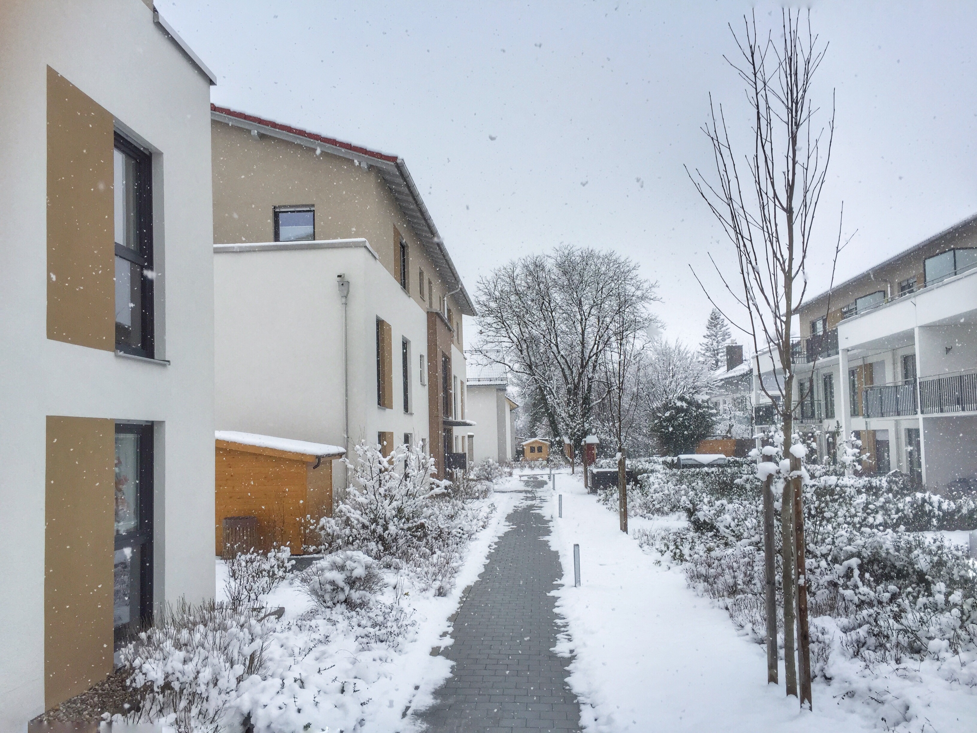 Bilder KRASS-Team Facility GmbH