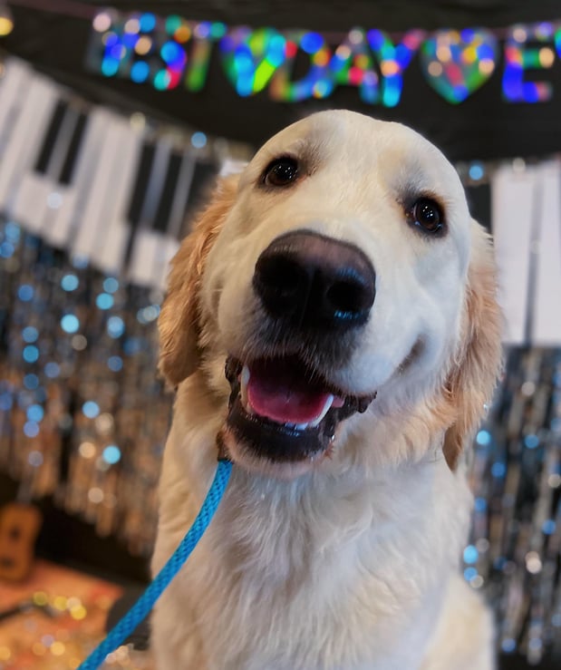 Images A Crate Escape