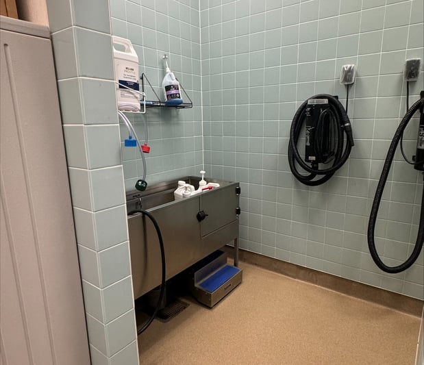 Images Petco Grooming