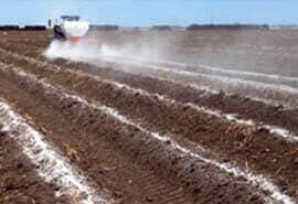 Images Agrominerales Del Pacífico