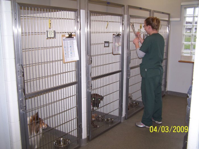 Images VCA Green Animal Hospital