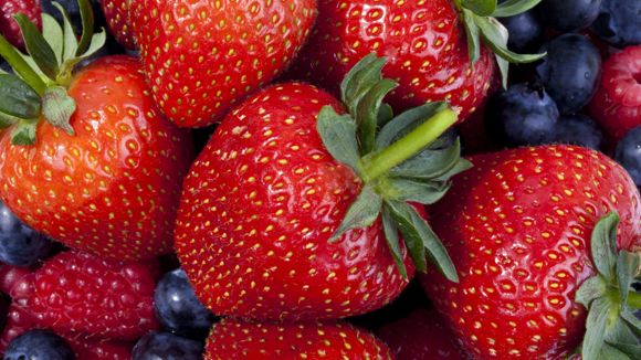 Images Porkon mansikkatila