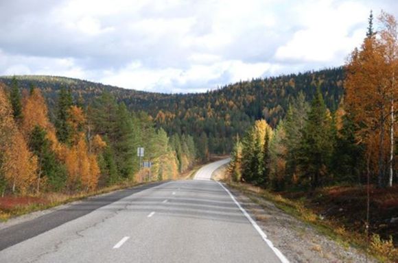 Images Lomakylä Kelosyöte Atenmökit