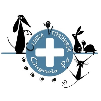 Clinica Veterinaria Chignolo Po Logo