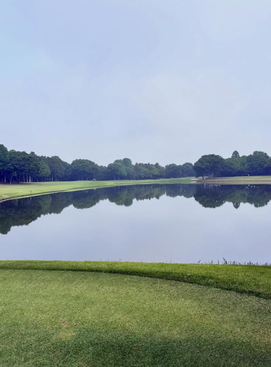 Images VZONEGOLF