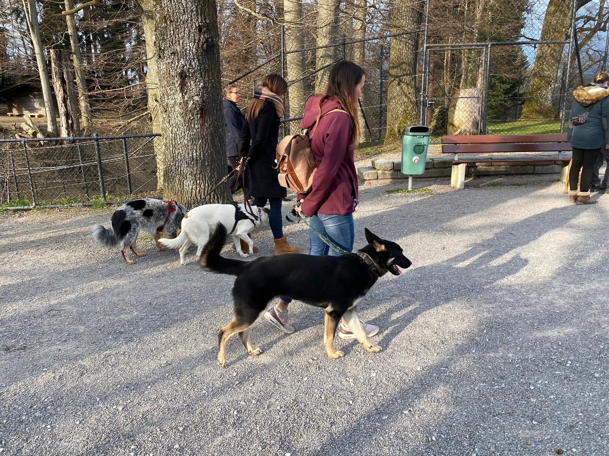 Bilder A-Z-Hundetraining