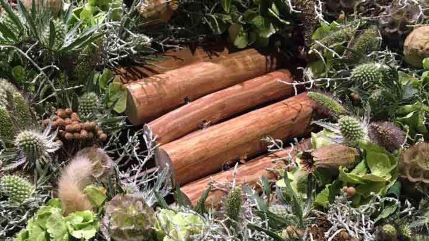 Images De Kreative Tøser