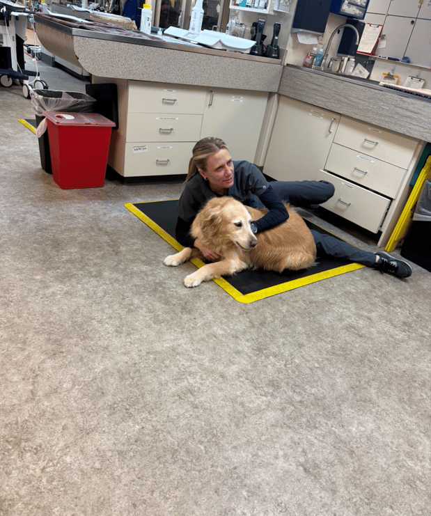 Images VCA Southeast Portland Animal Hospital