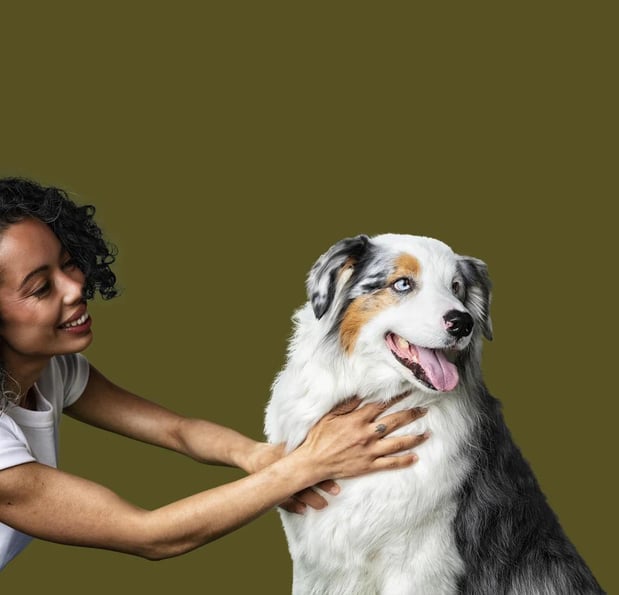 Images Petfolk Veterinary & Urgent Care - Mansfield