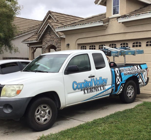 Images Capital Valley Termite