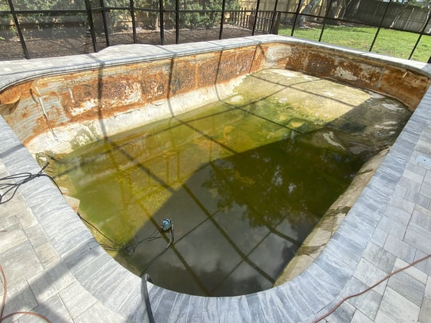Images Paradise Palm Pools Inc