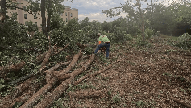 Images Essies Hauling And Bobcat