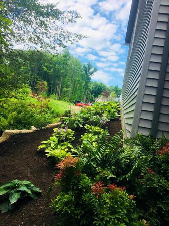 Images Earth Concepts