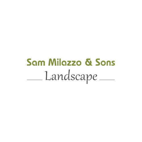 Sam Milazzo & Sons Landscape