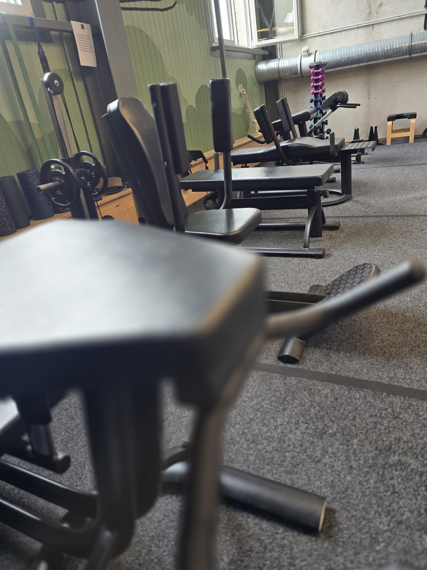 Bild 4 von V AthletX Studio