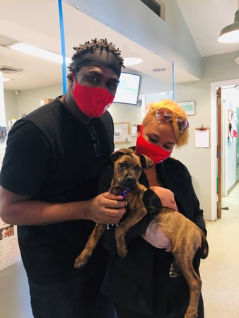Images The Humane Society of Charlotte
