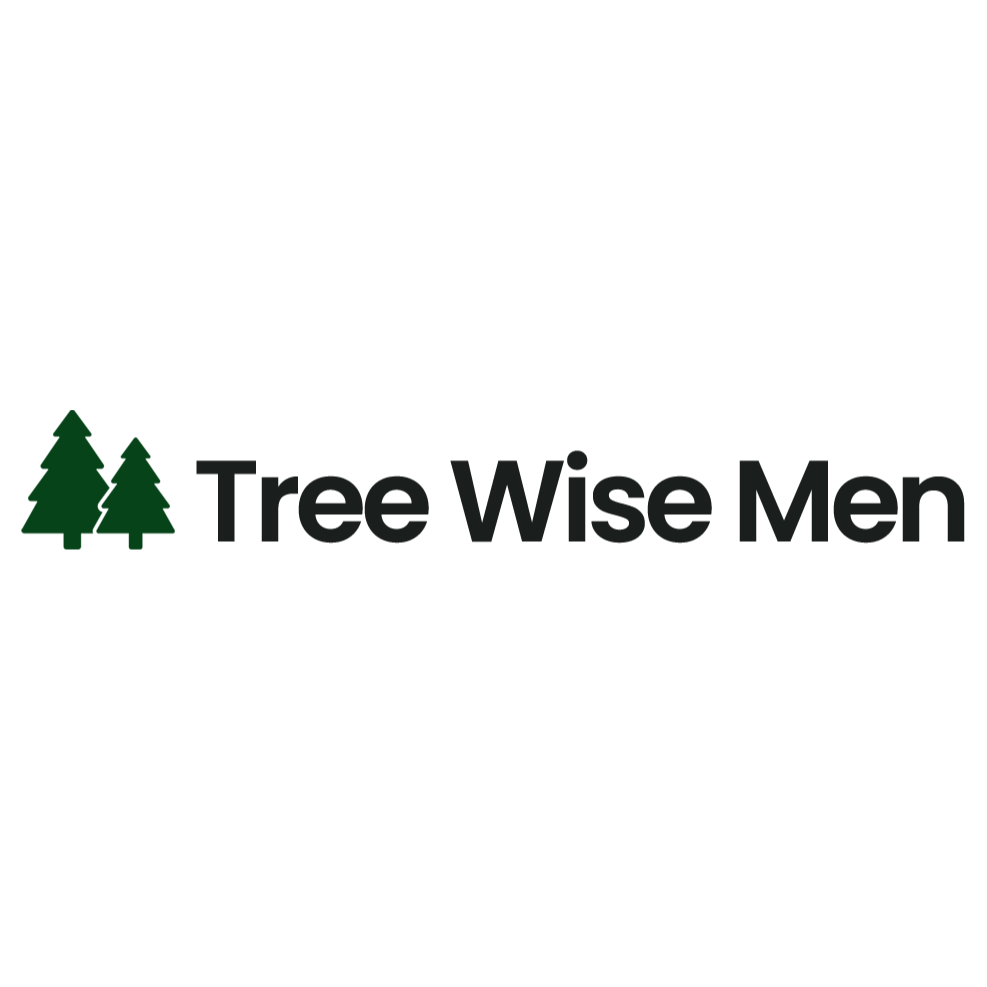 Tree Wise Men Logo
