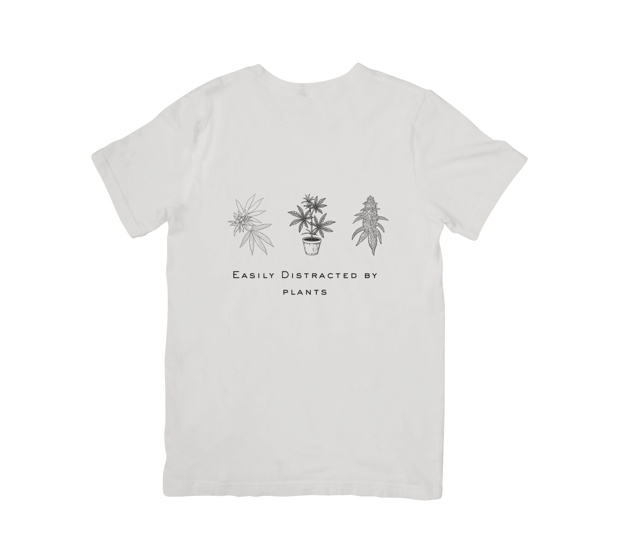 Images Big Yellow Smoke Shop and Vape