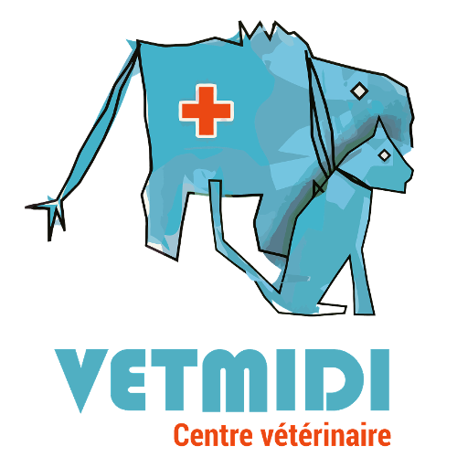 VETMIDI Etoy - Centre vétérinaire Logo