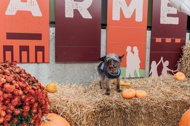 Images Drew Federau - State Farm Insurance Agent