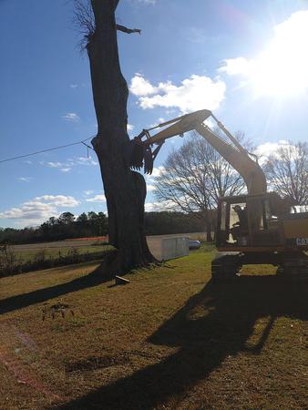 Images Burch Tree Service