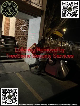 Images TreeStone Security Services