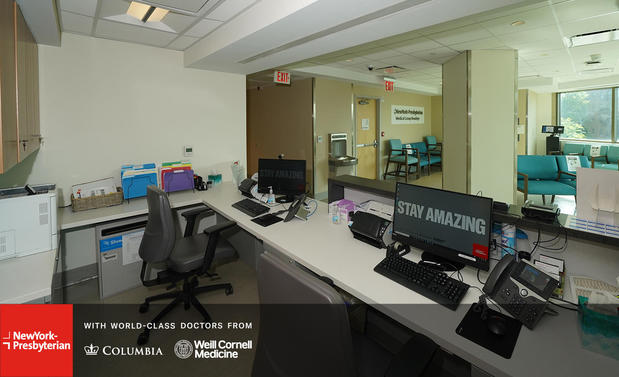 Images Anastasia A Nikitina, MD