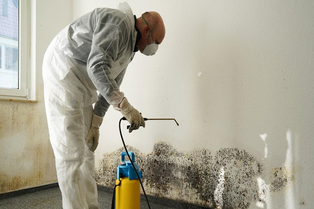 An effective water damage remediation program may minimize or eliminate the necessity for mold remediation, mold mitigation, and mold removal in your Minneapolis home or business.