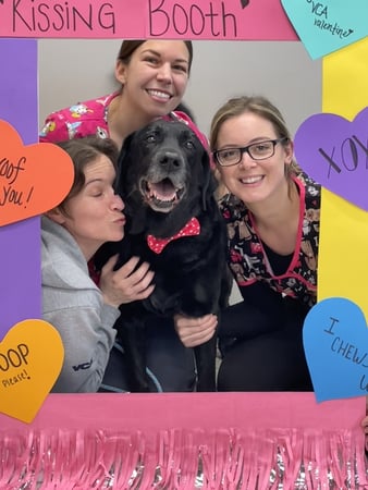 Images Shrewsbury Animal Hospital