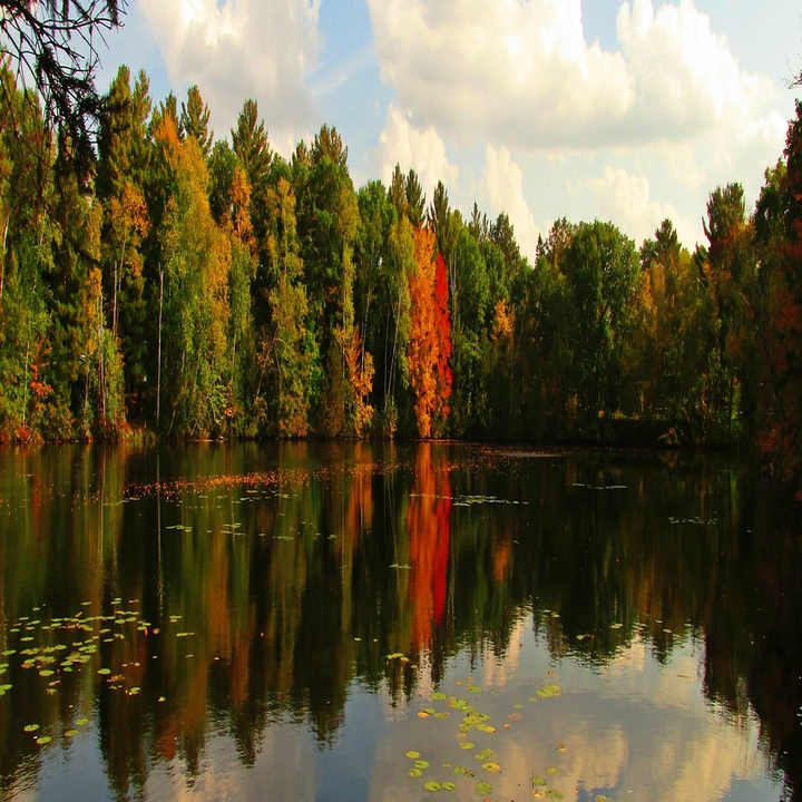 Images Northwoods Cabin & Property Care