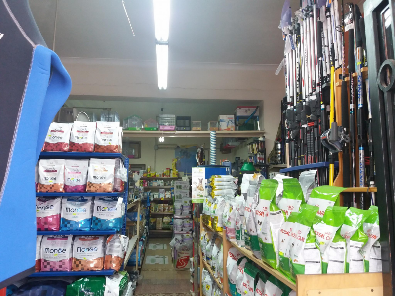 Images Pet Shop Dello Ioio