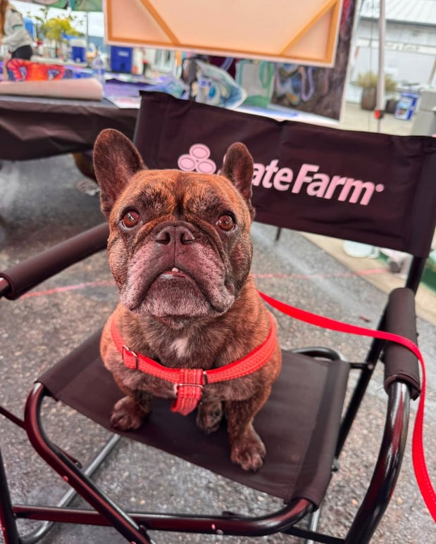 Images Amber Trott - State Farm Insurance Agent