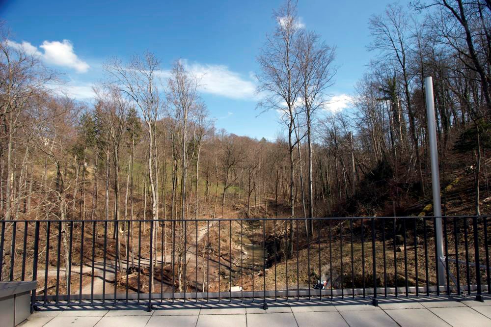 Bilder Privatschule Logartis