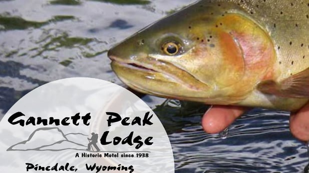 Images Gannett Peak Lodge